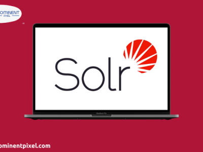 Hire solr developer