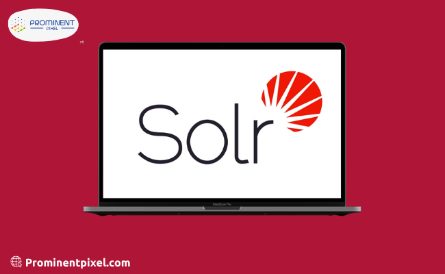 Hire solr developer