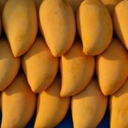 Buy Kesar Mangoes Online