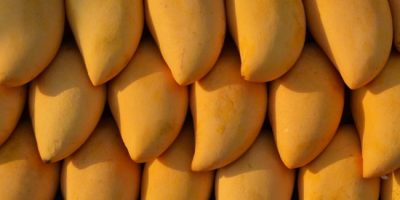 Buy Kesar Mangoes Online
