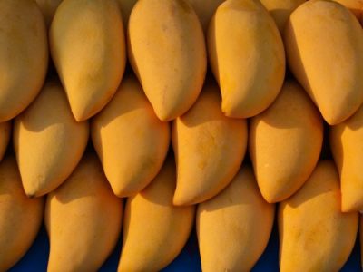 Buy Kesar Mangoes Online