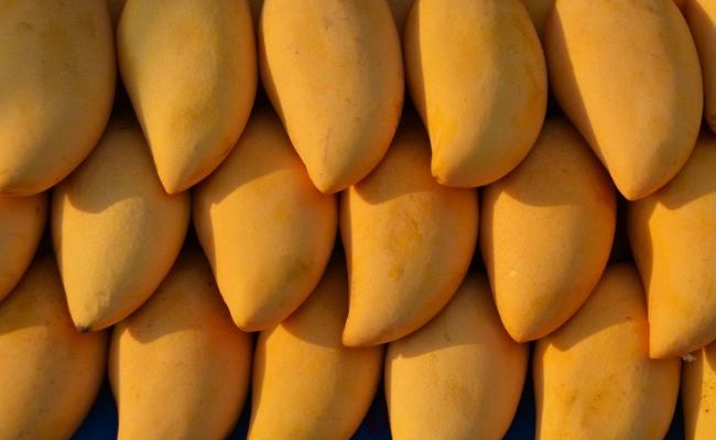 Buy Kesar Mangoes Online