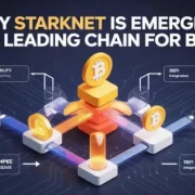 BTC yield strategies